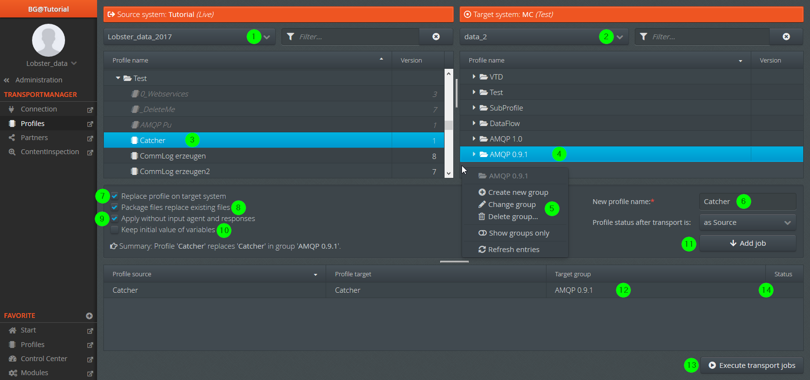 images/download/attachments/36577083/Transportmanager_2_EN-version-2-modificationdate-1576129362110-api-v2.png